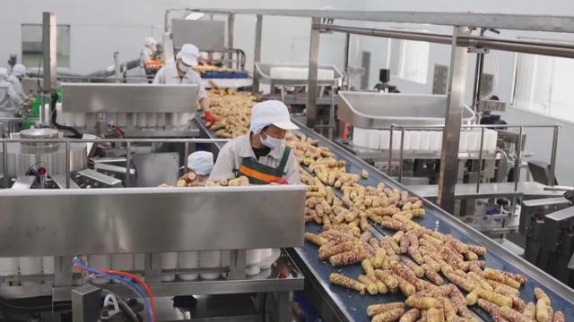 吉林省預制菜產業 乘政策東風，駛入高質量發展快車道