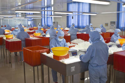 招遠重點項目新春跑出“加速度”，保健食品生產迎新篇章